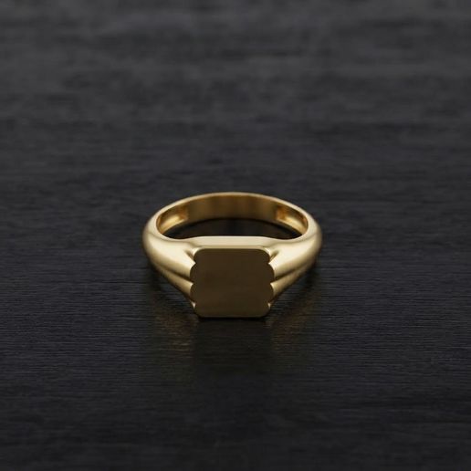 Jewelry Ring v9 L Size 3D print model
