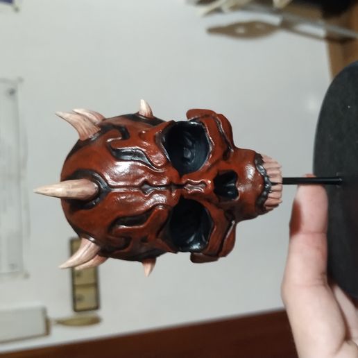 CRÂNE DE DARTH MAUL