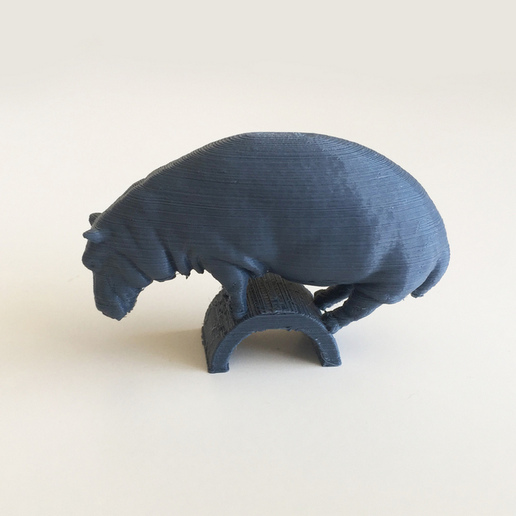 Capture_d__cran_2015-08-11___10.54.37.png Free STL file Hippo・Object to download and to 3D print, David_Mussaffi