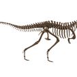 1.jpg Esqueleto completo de Albertossauro