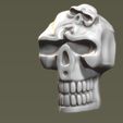 BPR_Composite2.jpg Skull Model