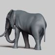 R04.jpg african elephant pose 03