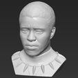 15.jpg Chad Boseman Black Panther bust 3D printing ready stl obj formats