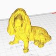 perro-9.jpg Bloodhound