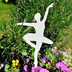 Ballarina_1.jpg Ballerina On Stick