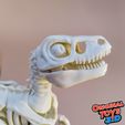 6.jpg Velociraptor Skeleton Articulated/Flexi