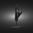 Human-Hand-on-a-stand-render-1.png Human Hand on a Stand