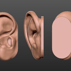 ear-skin.jpg ear 3d model - ear - earlobe - ENT