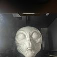 IMG_8102.jpg Become a Roswell Alien with our 3D Full Face Mask!