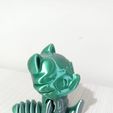 WhatsApp-Image-2023-05-25-at-7.35.36-AM-1.jpeg Archivo STL Nice flexi raccoon・Objeto de impresión 3D para descargar