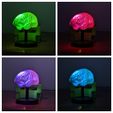 Four_Colors.jpg Arduino Uno Powered RGB LED Brain Light