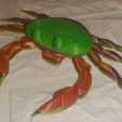 flexi print crab smiling