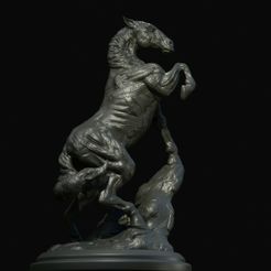 horse-5.jpg Stallion Ecorchet Statue