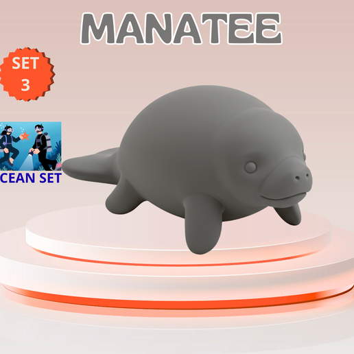 Cute Mini Manatee – Commercial