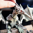0927-1-2.png Articulating Wyvern Dragon