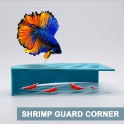1-GOOD.jpg Corner Shrimp Guard To Prevent Predator Fish. Ultimate Breeding Protection for Shrimp in Betta Tank. Shrimp Guard to Enhance Tank Harmony.
