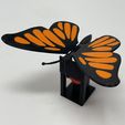 Image00a.jpg Butterfly Automaton