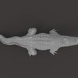 untitled.32.jpg crocodile 3d printable model
