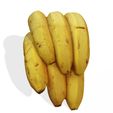 000.jpg PLÁTANO FRUTA PLANTA PLATANO ÁRBOL TÓPICO V BOSQUE HU