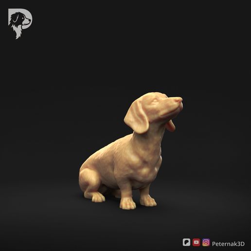 Dachshund-Miniature-Smooth-Haired-Pose-05-Dog-3D-Print-1s.jpeg Perro salchicha miniatura de pelo liso Pose 05