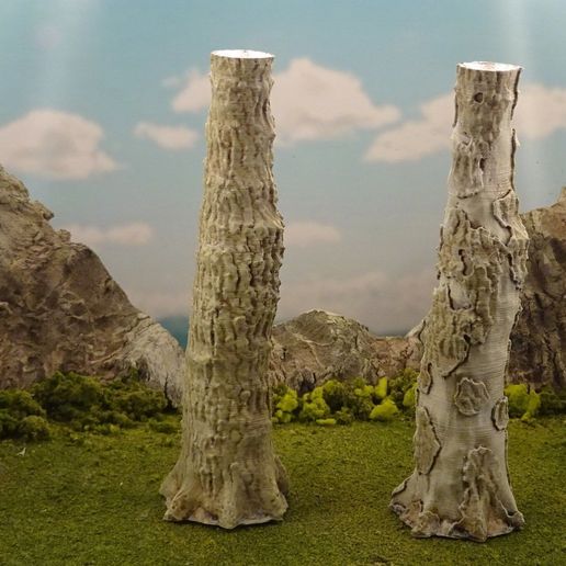 050d1ed2d632083bc898b6c8f0499dbd_display_large.JPG Vegetation B - Giant tree trunks