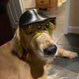 IMG_7144-1.jpg Novelty Dog helmet with safety glasses