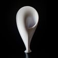 20190910_180638.jpg STL-Datei Infinity Shell - Smooth Edition・3D-Druck-Idee zum Herunterladen