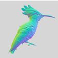 000.jpg The hoopoe 3D model