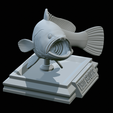 White-grouper-open-mouth-1-39.png fish white grouper / Epinephelus aeneus trophy statue detailed texture for 3d printing