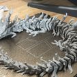 Capture2E.jpg Trunk Dragon Flexi