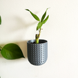 42.png UrbanEden Wall Planter