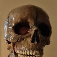 E-Painted-Skull-02.jpg Totenkopf Maske