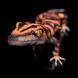 GoniurosaurusSzeneDark3.jpg Japanese Cave Gecko-Goniurosaurus orientalis-STL with Full-Size Texture-High-Polygon 3D Model incl. Zbrush-Originals