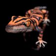 GoniurosaurusSzeneDark3.jpg Japanese Cave Gecko-Goniurosaurus orientalis-STL mit Full-Size-Textur-High-Polygon- 3D Modell inkl. Zbrush- Originale