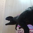 IMG_20230225_115541860_MFNR.jpg MAPUSAURUS ROSEAE DINOSAUR