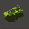 Captura7.1.png Óculos de caveira e suporte para trocos