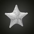 starfish-gold-3d-model-0815c5f627.jpg Starfish gold