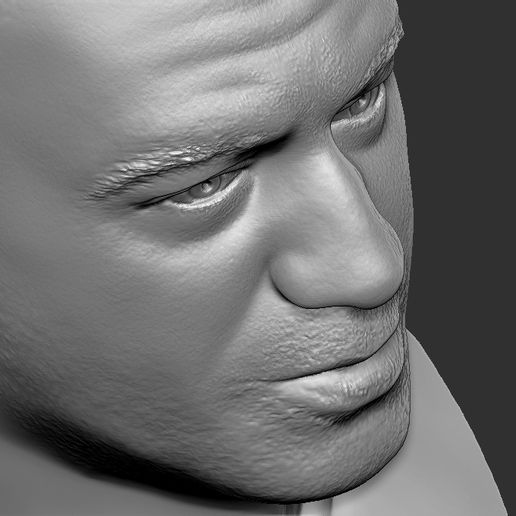 19.jpg OBJ file Joe Rogan bust for 3D printing・3D print design to download, PrintedReality
