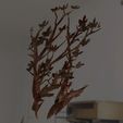 untitled.3016.jpg Modelo 3D de una rama de árbol