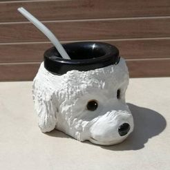 ca n.jpeg Fichier OBJ Caniche Poodle Poodle Mate Polymer Classic・Objet imprimable en 3D à télécharger