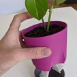 IMG_20200508_121040.jpg PLANTER 01