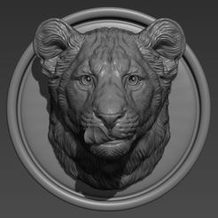 1.jpg Lion cub head
