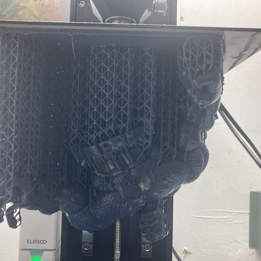 IMG_7108.jpeg CapHULK