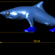 dimension.png Blue Shark with Sneakers