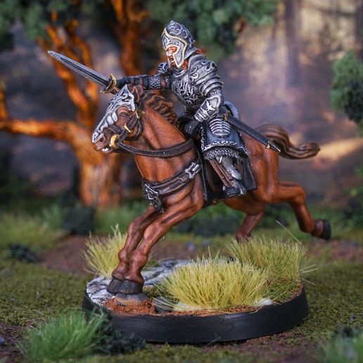 443fe03b-8ab8-4e78-9339-fe922fa1a0fd.jpg Captain of Moonland Ranger( Knight)