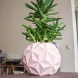 planter_2_small.jpg Free STL file Geodesic Planter Pot・3D print model to download