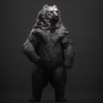 StandingBear1.png Ours Grizzly debout