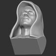 20.jpg Anakin Skywalker bust for 3D printing