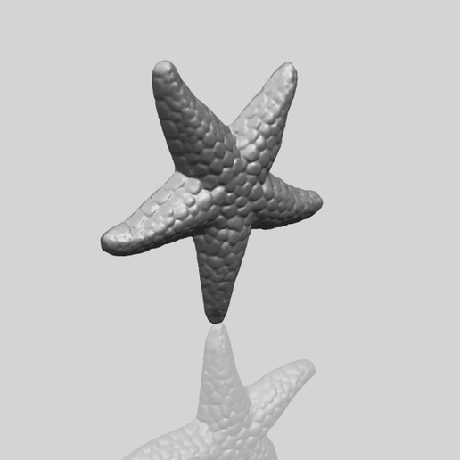 12_TDA0608_Starfish_02A00-1.png Download free file Starfish 02 • Template to 3D print, GeorgesNikkei