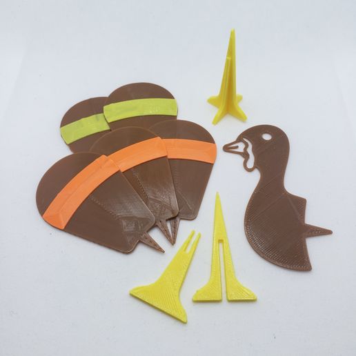 20201029_133341.jpg Turkey Pumpkin